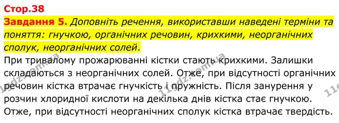 Стор. 38 — 5 — ГДЗ Робочий зошит біологія 8 клас Мирна — ГДЗ Робочий зошит біологія 8 клас Мирна