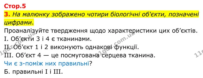 1. Визначте поняття. — частина 3 — ГДЗ Робочий зошит Біологія 8 клас Тагліна (2025)