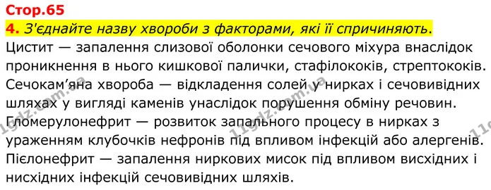 1. Позначте біля кожного правдивого твердження «+», біля хибного — «-». — частина 4 — ГДЗ Робочий зошит Біологія 8 клас Тагліна (2025)