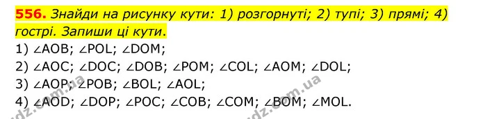 556. Знайди на рисунку кути: 1) розгорнуті; 2) тупі; 3) прямі; 4) гострі. Запиши ці кути. — ГДЗ Математика 5 клас Скворцова 2022