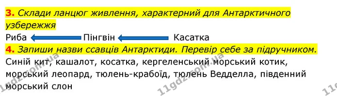 3. Склади ланцюг живлення, характерний для Антарктичного узбережжя — ГДЗ Робочий зошит Я досліджую світ 4 клас Гільберг