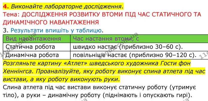 4. Виконайте лабораторне дослідження. — ГДЗ Робочий зошит Біологія 8 клас Кулініч