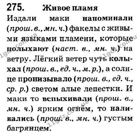 275 — ГДЗ Русский язык 4 класс Сильнова, Каневская 2015