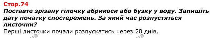 Розгляньте фото і поясніть, чим відрізняються зображені на них вулиці. — ГДЗ Я досліджую світ 1 клас Гільберг