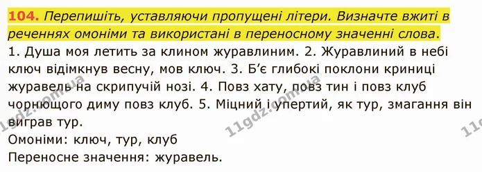 104. Перепишіть, уставляючи пропущені літери. Визначте вжиті в реченнях омоніми та використані в переносному значенні слова. — ГДЗ Українська мова 5 клас Глазова 2022