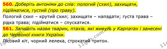 560. Доберіть антоніми до слів: пологий (схил), захищати, підійматися, густий (про траву). — ГДЗ Відповіді Українська мова 6 клас Єрмоленко