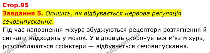 Стор. 95 — 5 — ГДЗ Робочий зошит біологія 8 клас Мирна — ГДЗ Робочий зошит біологія 8 клас Мирна