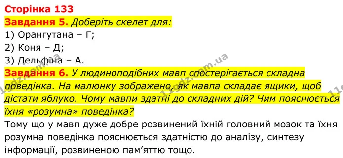 5. Доберіть скелет для: — ГДЗ Робочий зошит Біологія 7 клас Мирна 2024