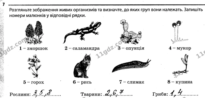 7 — ГДЗ Робочий зошит Біологія 7 клас Задорожний — ГДЗ Робочий зошит Біологія 7 клас Задорожний