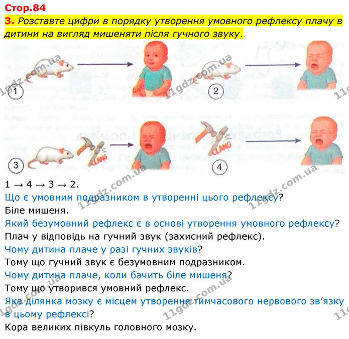3. Розставте цифри в порядку утворення умовного рефлексу плачу в дитини на вигляд мишеняти після гучного звуку. — ГДЗ Робочий зошит Біологія 8 клас Кулініч