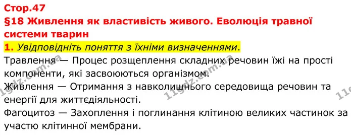 1. Увідповідніть поняття з їхніми визначеннями. — ГДЗ Робочий зошит Біологія 8 клас Тагліна (2025)