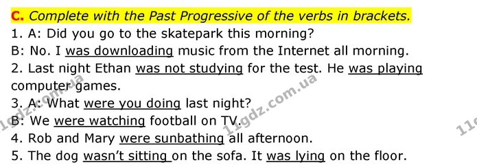 C. Complete with the Past Progressive of the verbs in brackets. — ГДЗ Робочий зошит Англійська мова 6 клас Мітчелл