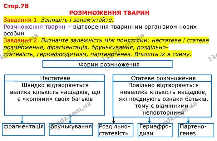 Стор. 78 — 1-2 — ГДЗ Робочий зошит з Біології 7 клас Яременко — ГДЗ Робочий зошит з Біології 7 клас Яременко