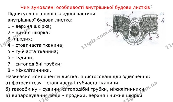 Стор. 44 — 3 — ГДЗ Робочий зошит Біологія 6 клас Соболь — ГДЗ Робочий зошит Біологія 6 клас Соболь