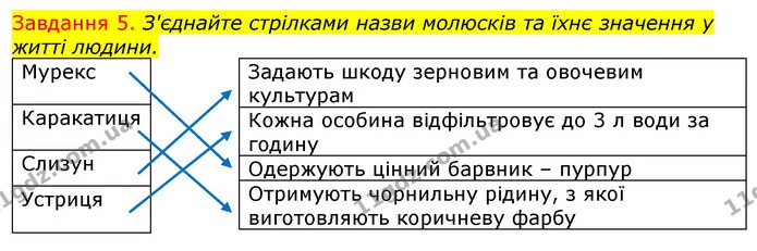 Стор. 35 — 5 — ГДЗ Робочий зошит з Біології 7 клас Яременко — ГДЗ Робочий зошит з Біології 7 клас Яременко
