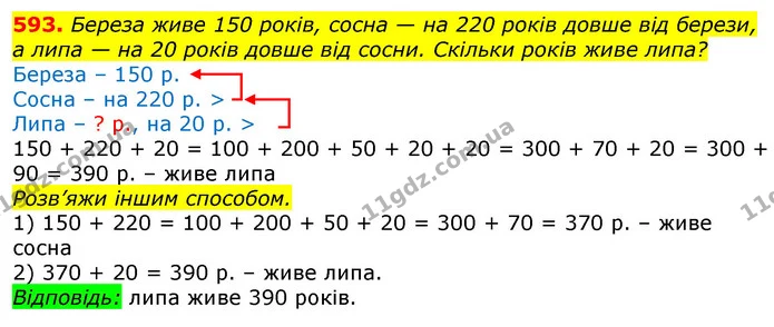 593. Береза живе 150 років, сосна — на 220 років довше від берези, а липа — на 20 років довше від сосни. Скільки років живе липа? — ГДЗ Математика 3 клас Лишенко (1, 2 частина)