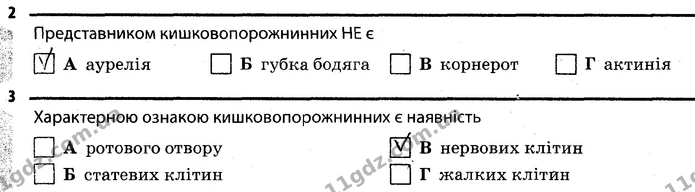 2. Представником кишковопорожнинних НЕ є А (аурелія) — ГДЗ Робочий зошит Біологія 7 клас Задорожний