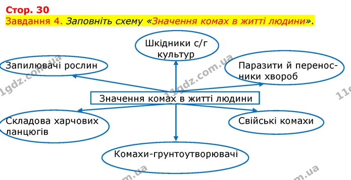 Завдання 4. Заповніть схему «Значення комах в житті людини». — ГДЗ Робочий зошит з Біології 7 клас Яременко