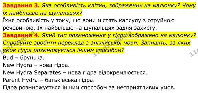 3. Яка особливість клітин, зображених на малюнку? Чому їх найбільше на щупальцях? — ГДЗ Робочий зошит Біологія 7 клас Мирна 2024