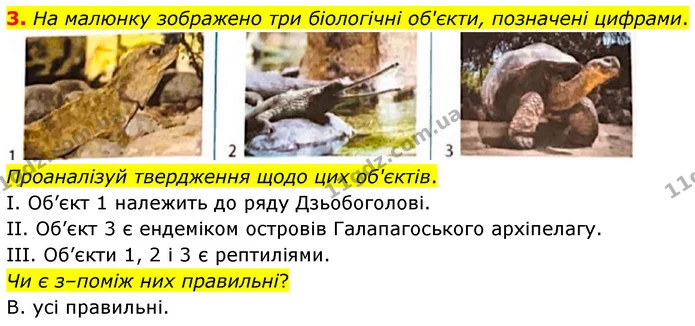 3. На малюнку зображено три біологічні об'єкти, позначені цифрами. — ГДЗ робочий зошит Біологія 7 клас Тагліна