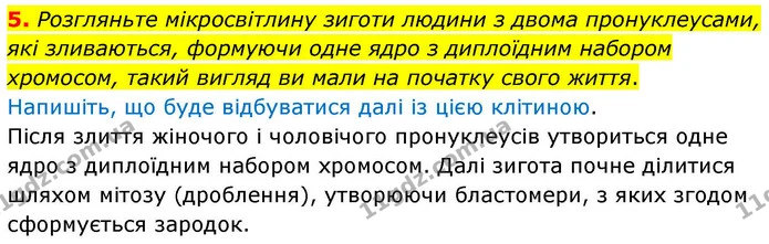 1. З'єднайте періоди онтогенезу з їхнім описом. — частина 5 — ГДЗ Робочий зошит Біологія 8 клас Тагліна (2025)
