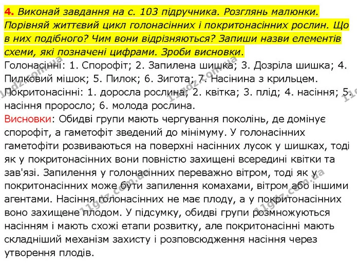 4. Виконай завдання на с. 103 підручника. Розглянь малюнки. Порівняй життєвий цикл голонасінних і покритонасінних рослин. Що в них — ГДЗ робочий зошит Біологія 7 клас Тагліна