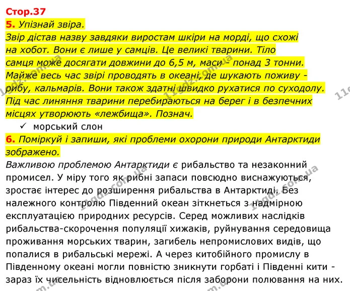5. Упізнай звіра. — ГДЗ Робочий зошит Я досліджую світ 4 клас Гільберг