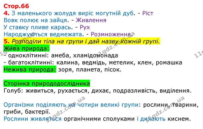 5. Розподіли тіла на групи і дай назву кожній групі. — ГДЗ Робочий зошит Природознавство 5 клас Коршевнюк