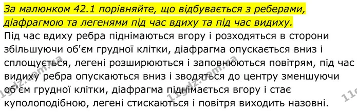 Стор. 190 — 2 — ГДЗ Біологія 8 клас Балан — ГДЗ Біологія 8 клас Балан