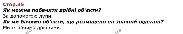Як можна побачити дрібні об’єкти? — ГДЗ Я досліджую світ 1 клас Гільберг