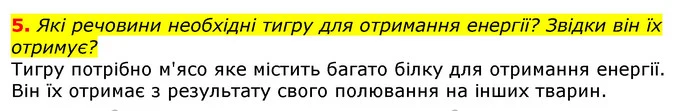 5. Які речовини необхідні тигру для отримання енергії? Звідки він їх отримує? — ГДЗ Природознавство 5 клас Коршевнюк