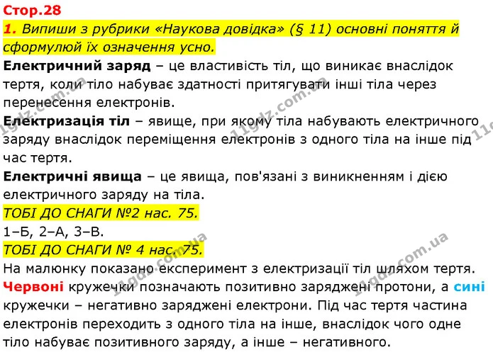 Стор. 28 — 1-3 — ГДЗ Робочий зошит Пізнаємо природу 6 клас Коршевнюк — ГДЗ Робочий зошит Пізнаємо природу 6 клас Коршевнюк