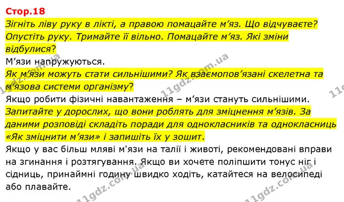 Зігніть ліву руку в лікті, а правою помацайте м’яз. Що відчуваєте? Опустіть руку. Тримайте її вільно. Помацайте м’яз. Які зміни — ГДЗ Я досліджую світ 3 клас Гільберг 1-2 ч.