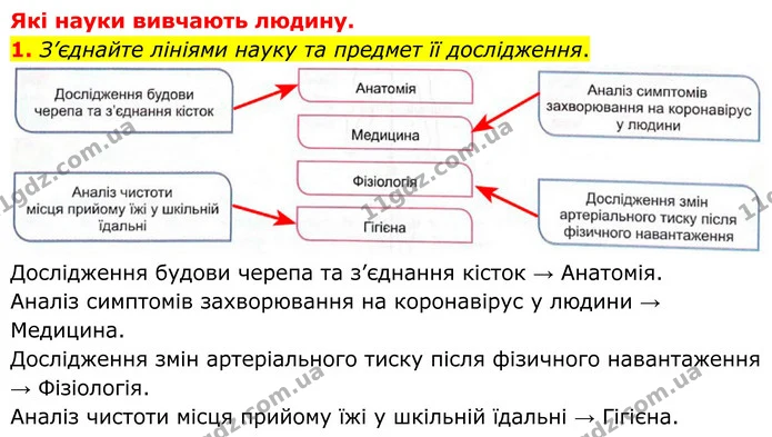 1. З’єднайте лініями науку та предмет її дослідження. — ГДЗ Робочий зошит Біологія 8 клас Кулініч