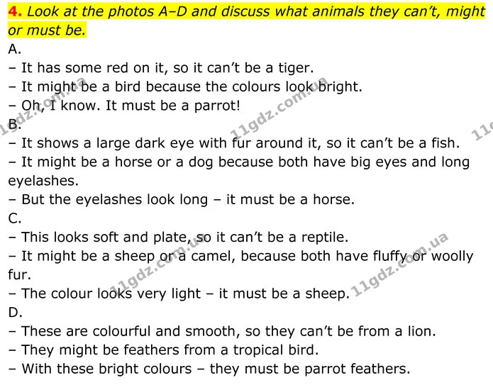 4. Look at the photos A–D and discuss what animals they can’t, might or must be. — ГДЗ Англійська мова 8 клас Стайрінг (Prepare)