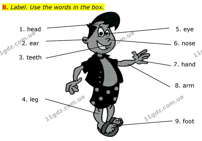 B. Label. Use the words in the box. — ГДЗ Збірник тестів Англійська мова 5 клас Мітчелл (Test Booklet)