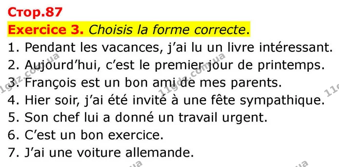 Exercice 3. Choisis la forme correcte. — ГДЗ Французька мова 7 клас Чумак