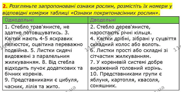 2. Розгляньте запропоновані ознаки рослин, розмістіть їх номери у відповідні комірки таблиці «Ознаки покритонасінних рослин». — ГДЗ робочий зошит Біологія 7 клас Кулініч