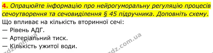 4. Опрацюйте інформацію про нейрогуморальну регуляцію процесів сечоутворення та сечовиділення § 45 підручника. Доповніть схему. — ГДЗ Робочий зошит Біологія 8 клас Кулініч