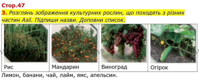 Стор. 47 — 3 — ГДЗ Робочий зошит Я досліджую світ 4 клас Грущинська — ГДЗ Робочий зошит Я досліджую світ 4 клас Грущинська