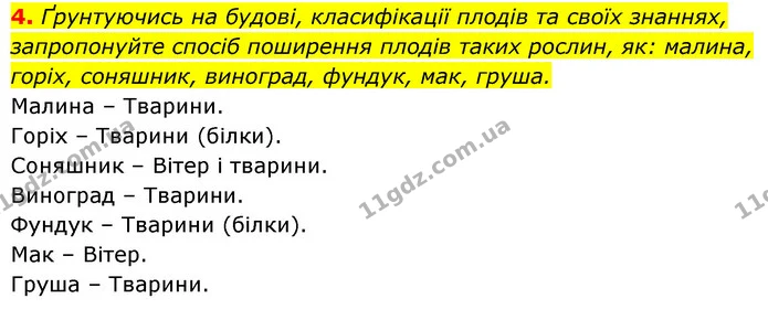 4. Ґрунтуючись на будові, класифікації плодів та своїх знаннях, запропонуйте спосіб поширення плодів таких рослин, як: малина, горіх — ГДЗ Біологія 7 клас Тагліна
