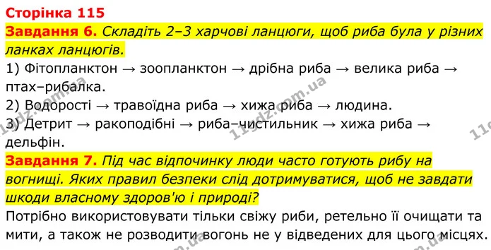6. Складіть 2–3 харчові ланцюги, щоб риба була у різних ланках ланцюгів. — ГДЗ Робочий зошит Біологія 7 клас Мирна 2024