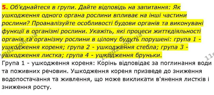 5. Об’єднайтеся в групи. Дайте відповідь на запитання: Як ушкодження одного органа рослини впливає на інші частини рослини? — ГДЗ робочий зошит Біологія 7 клас Кулініч