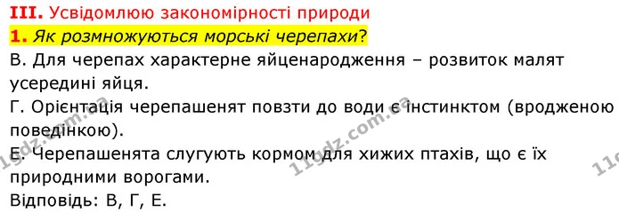Стор. 162 — Стр.162 (3.1) — ГДЗ Біологія 7 клас Балан — ГДЗ Біологія 7 клас Балан