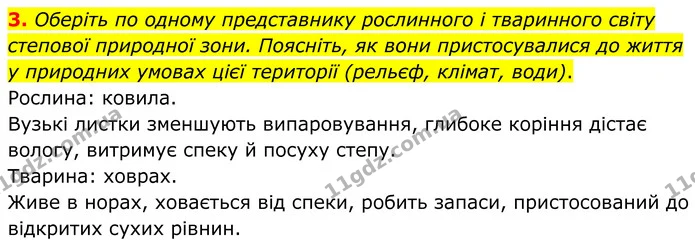 3. Оберіть по одному представнику рослинного і тваринного світу степової природної зони. Поясніть, як вони пристосувалися до життя у — ГДЗ Зошит практичні Географія 8 клас Гільберг