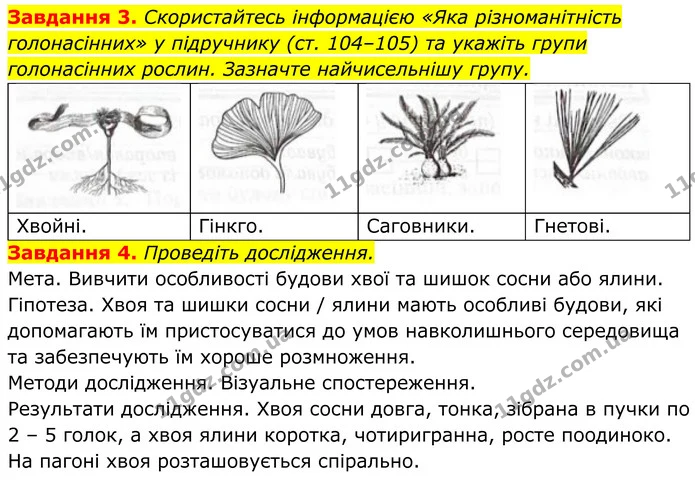 3. Скористайтесь інформацією «Яка різноманітність голонасінних» у підручнику (ст. 104–105) та укажіть групи голонасінних рослин — ГДЗ Робочий зошит Біологія 7 клас Мирна 2024