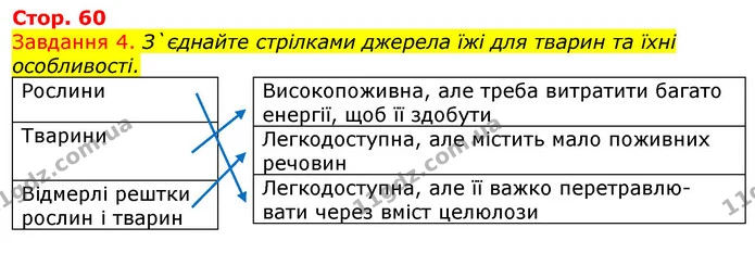 Стор. 60 — 4 — ГДЗ Робочий зошит з Біології 7 клас Яременко — ГДЗ Робочий зошит з Біології 7 клас Яременко
