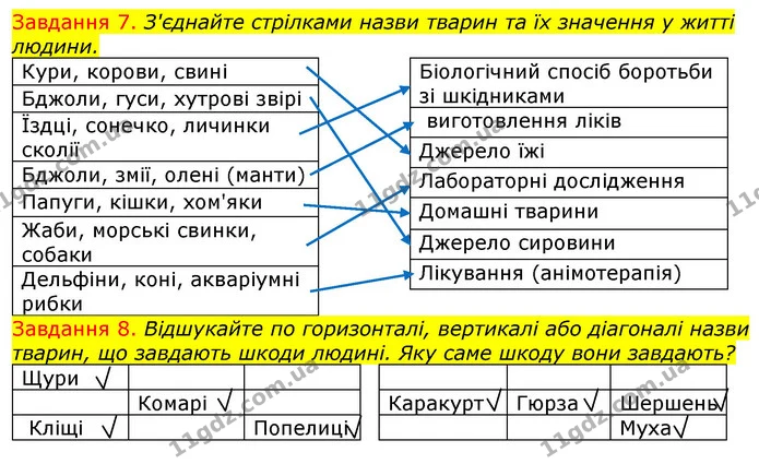Стор. 12 — 7-8 — ГДЗ Робочий зошит з Біології 7 клас Яременко — ГДЗ Робочий зошит з Біології 7 клас Яременко