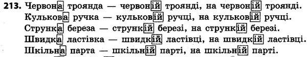 213 — ГДЗ Українська мова та читання 4 клас Захарійчук 2015