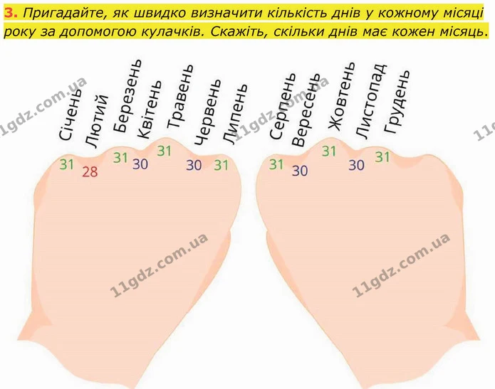 3. Пригадайте, як швидко визначити кількість днів у кожному місяці року за допомогою кулачків. Скажіть, скільки днів має кожен місяць. — ГДЗ Математика 3 клас Логачевська 1-2 ч.